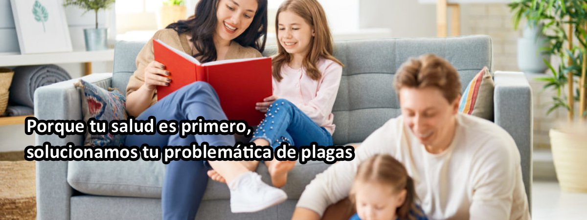 Solucionamos problemas de plagas